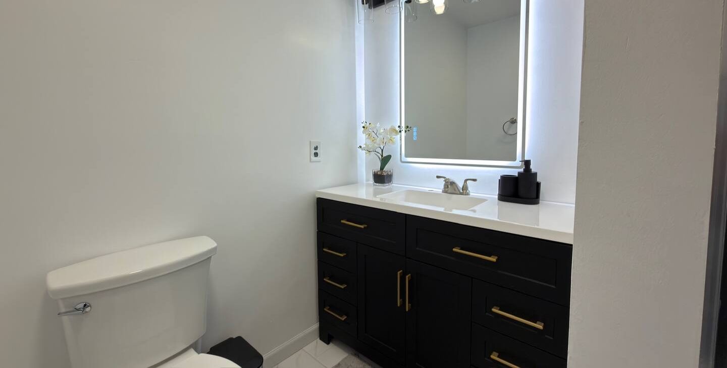 Master bath vanity